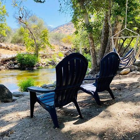 Sequoia Cabin By The River Three Rivers Kültér fotó