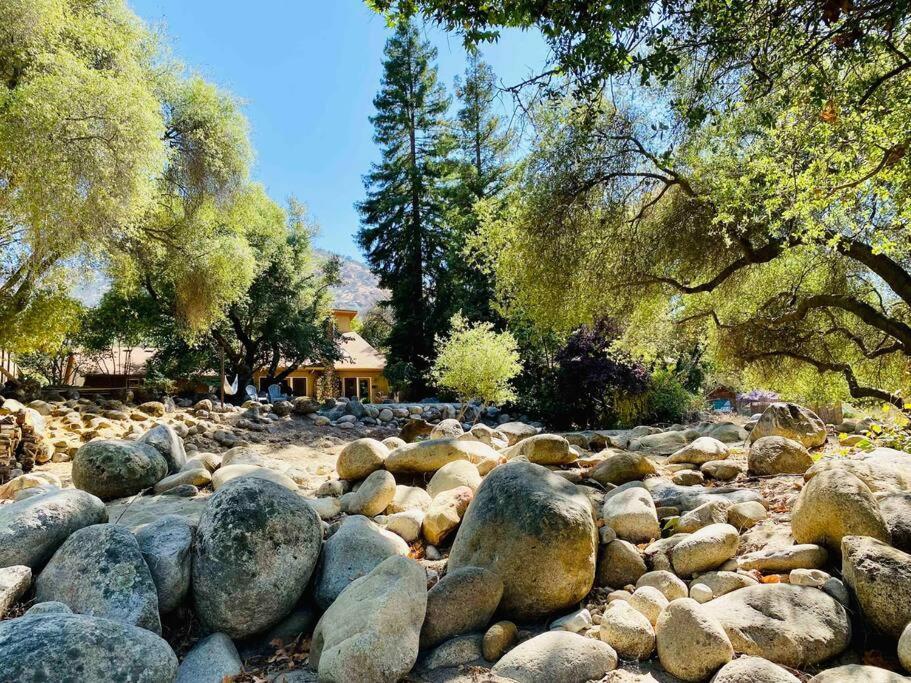 Sequoia Cabin By The River Three Rivers Kültér fotó
