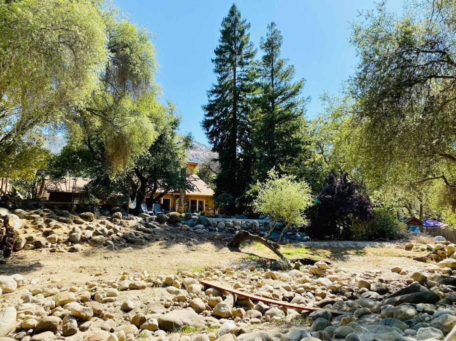 Sequoia Cabin By The River Three Rivers Kültér fotó