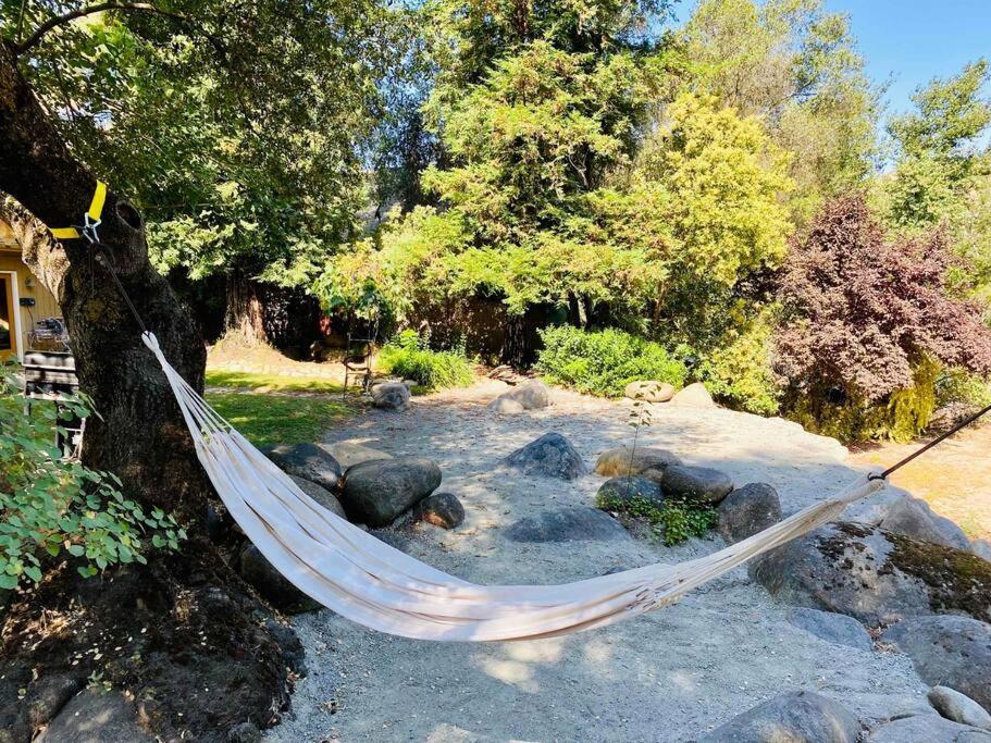 Sequoia Cabin By The River Three Rivers Kültér fotó