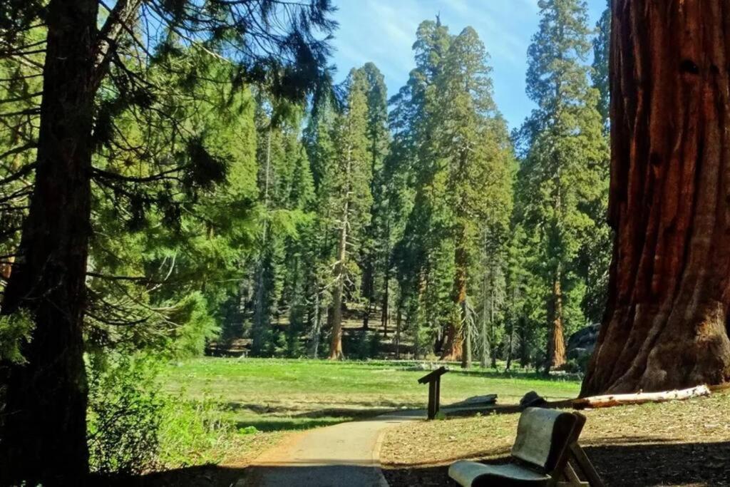 Sequoia Cabin By The River Three Rivers Kültér fotó