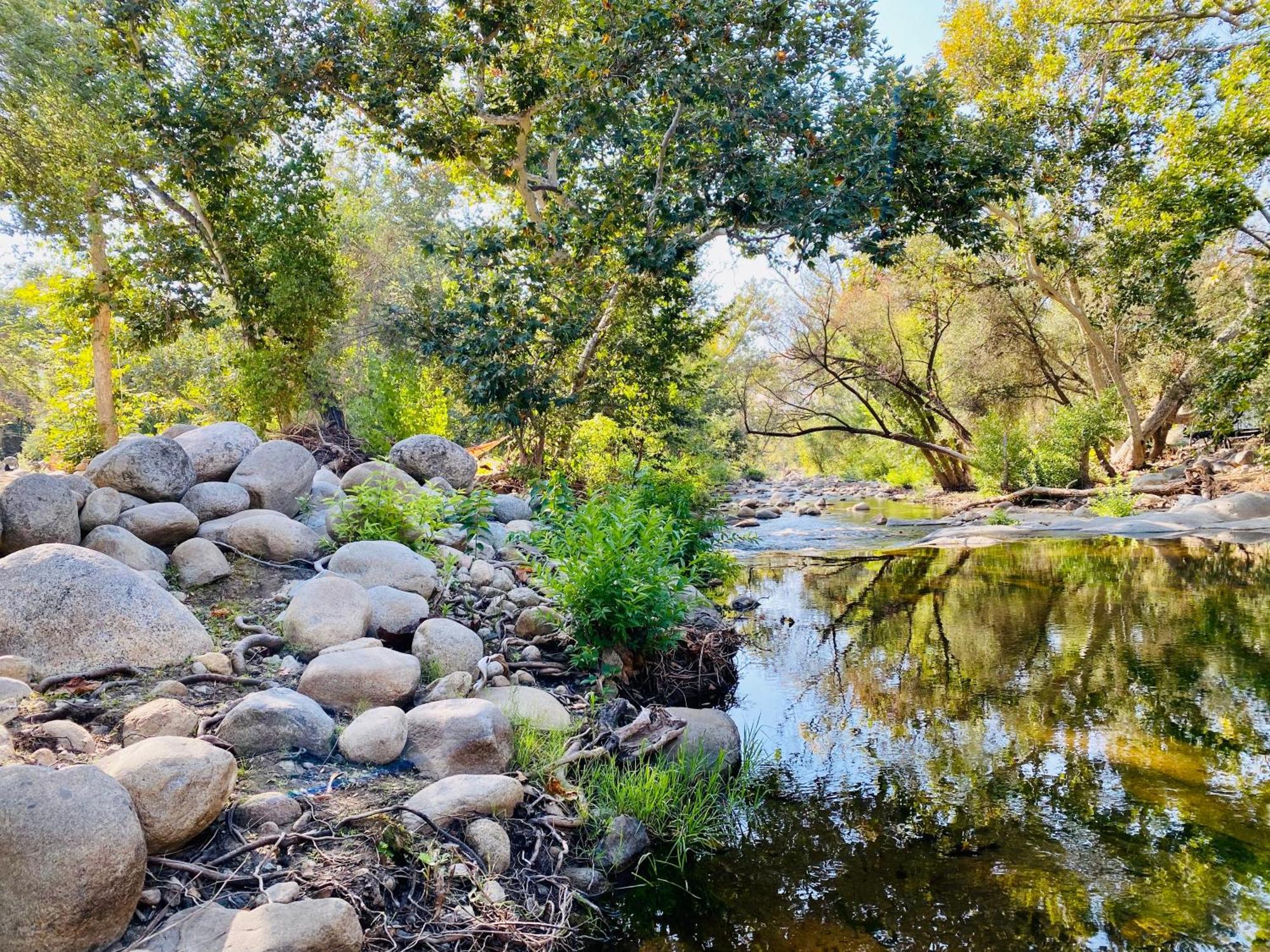 Sequoia Cabin By The River Three Rivers Kültér fotó