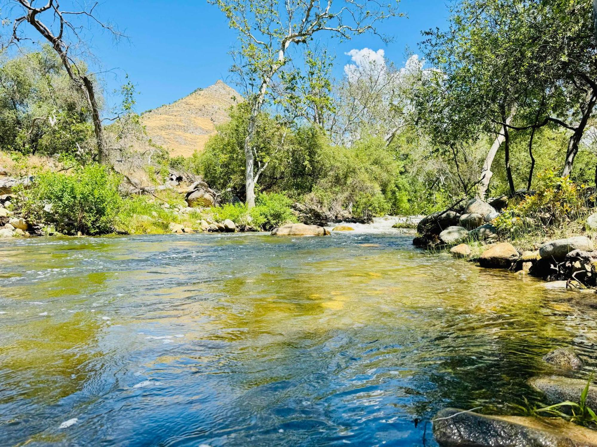 Sequoia Cabin By The River Three Rivers Kültér fotó
